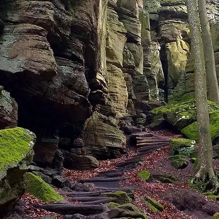 Quers - Oekologisches In Der Eifel