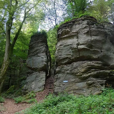 Quers - Oekologisches In Der Eifel *