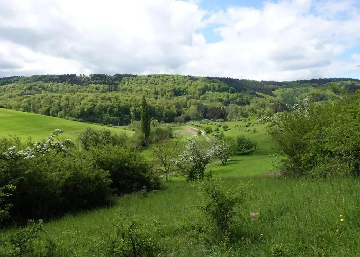 Quers - Oekologisches In Der Eifel * Wolsfeld