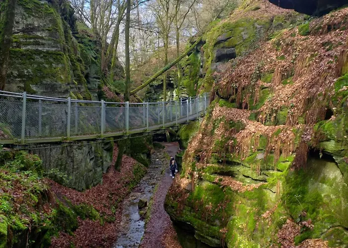 Quers - Oekologisches In Der Eifel *