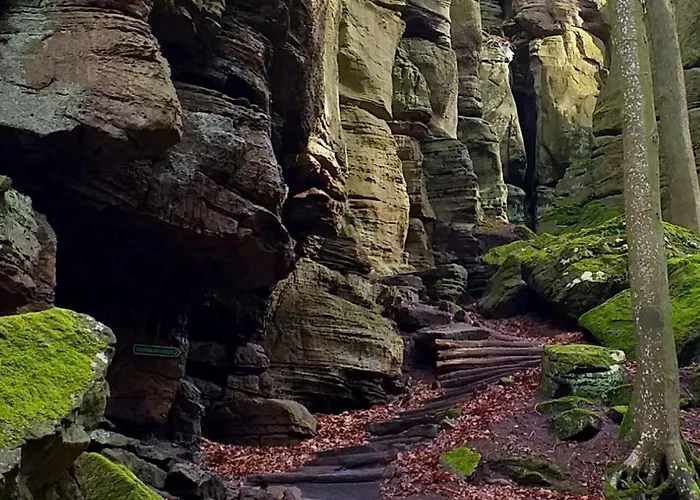 Quers - Oekologisches In Der Eifel