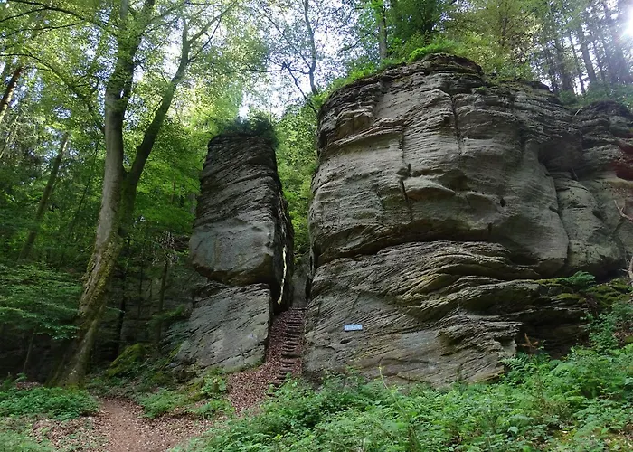 Quers - Oekologisches In Der Eifel *